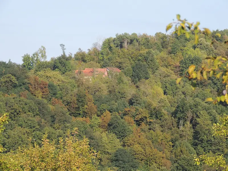 Jesenja šuma na obroncima Kozare
