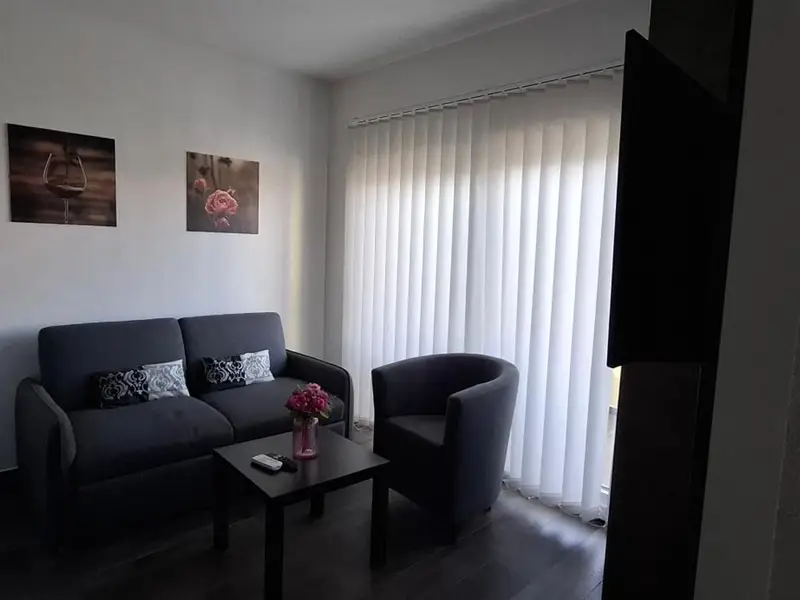 Dnevni dio apartmana s kaučem, foteljom i stolićem